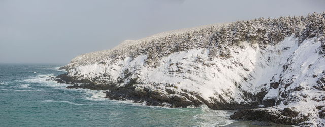 Outer Cove Stratigraphy under Snow