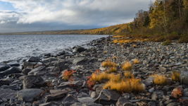 Fall colours at Gander Lake