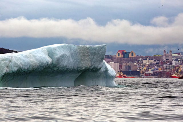Iceberg in the City