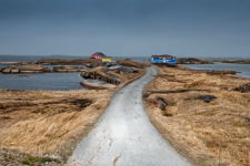 Early Spring in Newtown