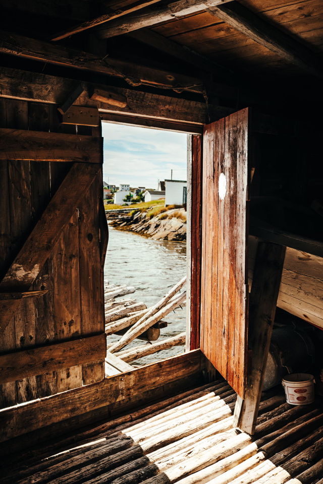 LOOKING OUT