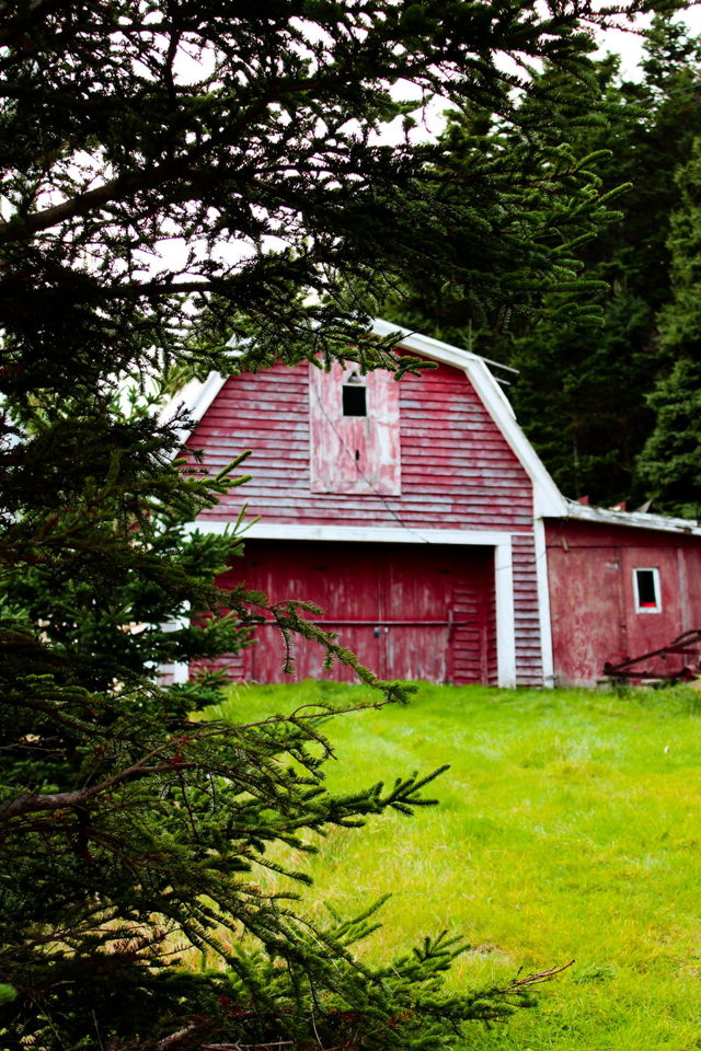 Gerald's Barn