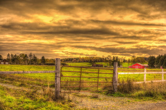 Fall day at the Farm - Comfort Cove-Newstead, NL