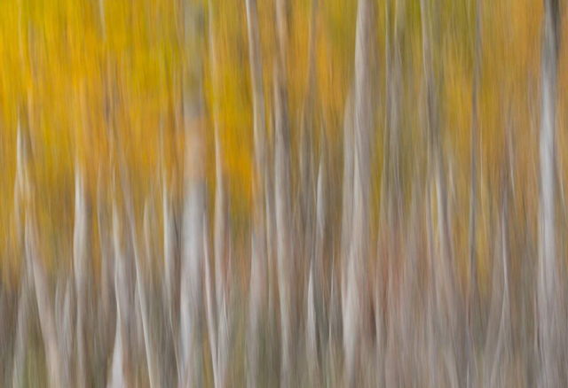 Blur 2