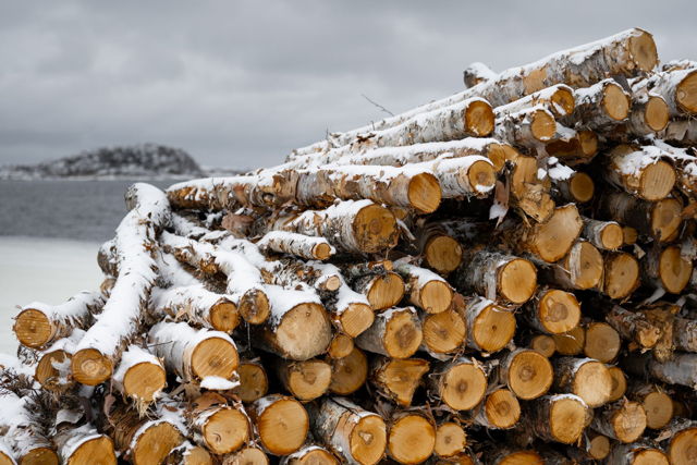 Next Winter's Warmth
