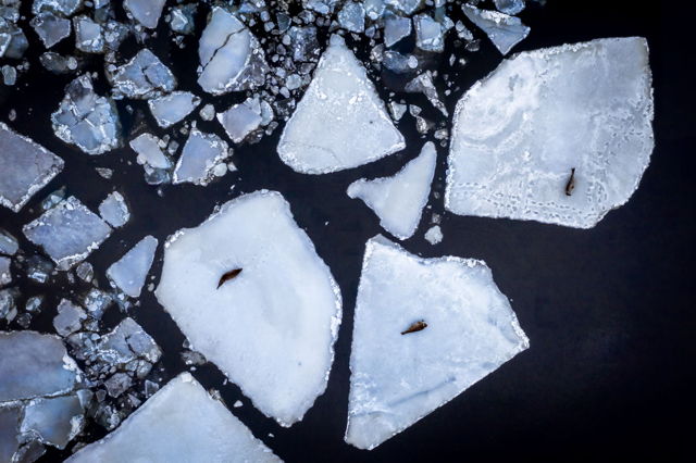 Ice Islands