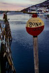 Gone Fishing