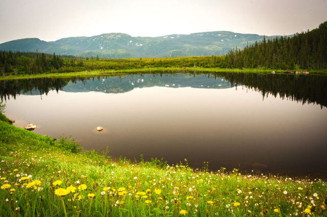 The Road to Gros Morne