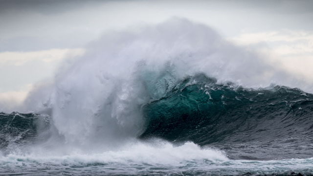 Middle Cove