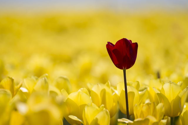 Be Different