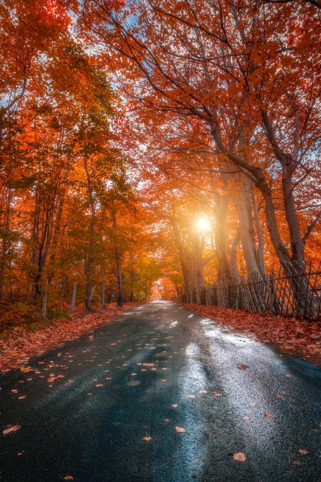 Fall on the Lane