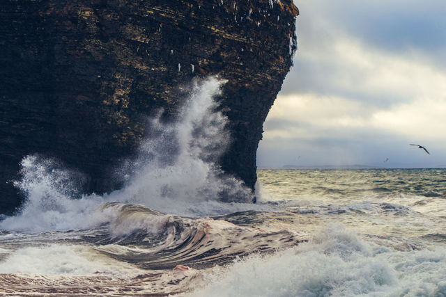 Angry Waves of Grebes Nest