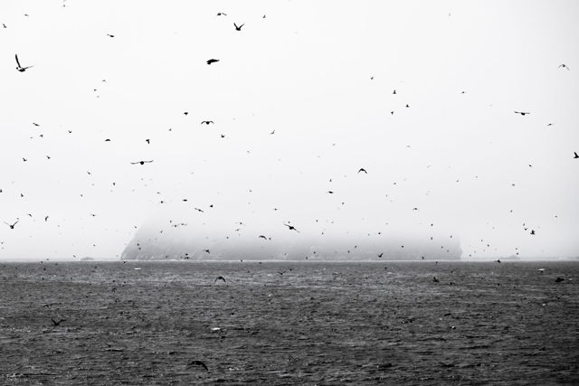 Island in Fog