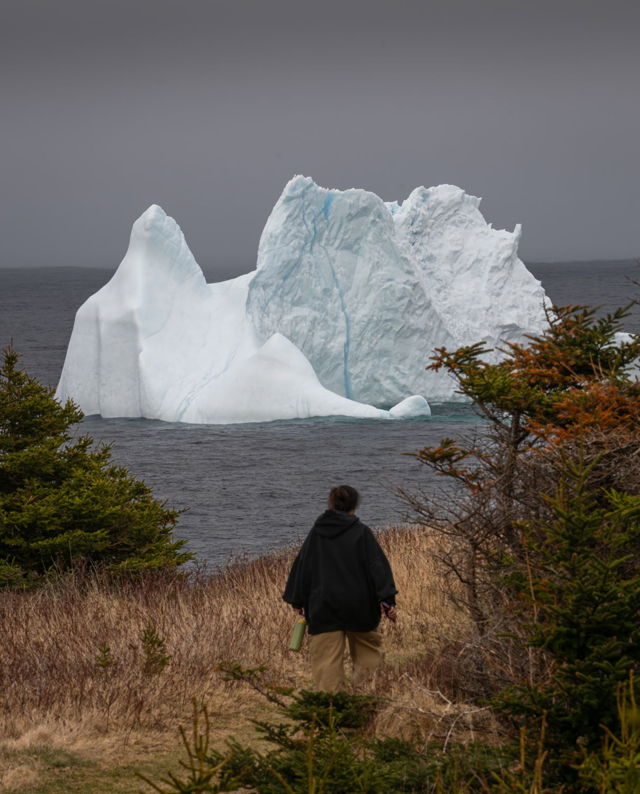 Iceberg Finding