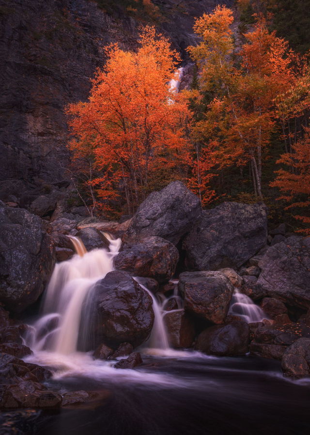 Autumn at Rattling Brook Falls