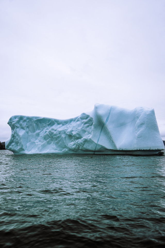 Berg in Iceberg Alley
