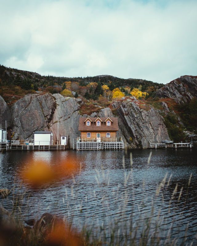 Crisp Autumn in Quidi Vidi