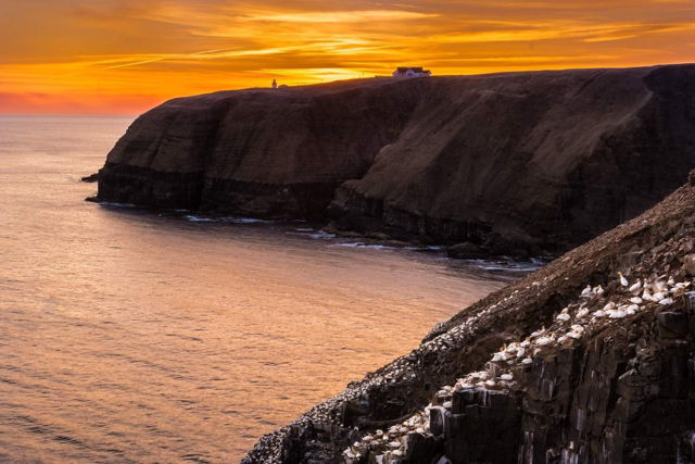 Cape St. Mary's Sunset