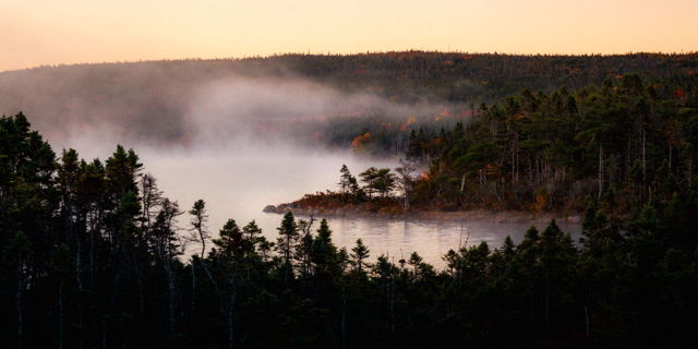 Misty Morning