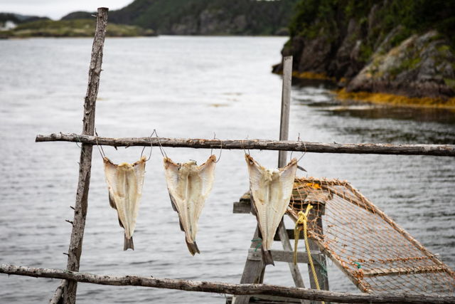 Hung Out To Dry