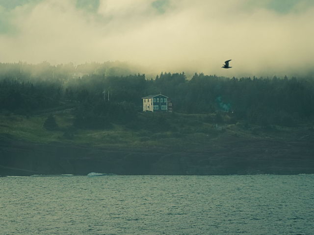 Flight Through the Fog