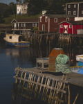 Colourful Petit Forte