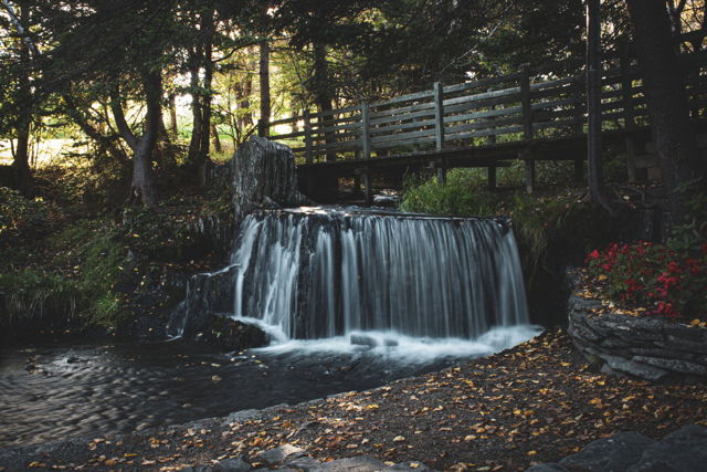Bowring Park Falls