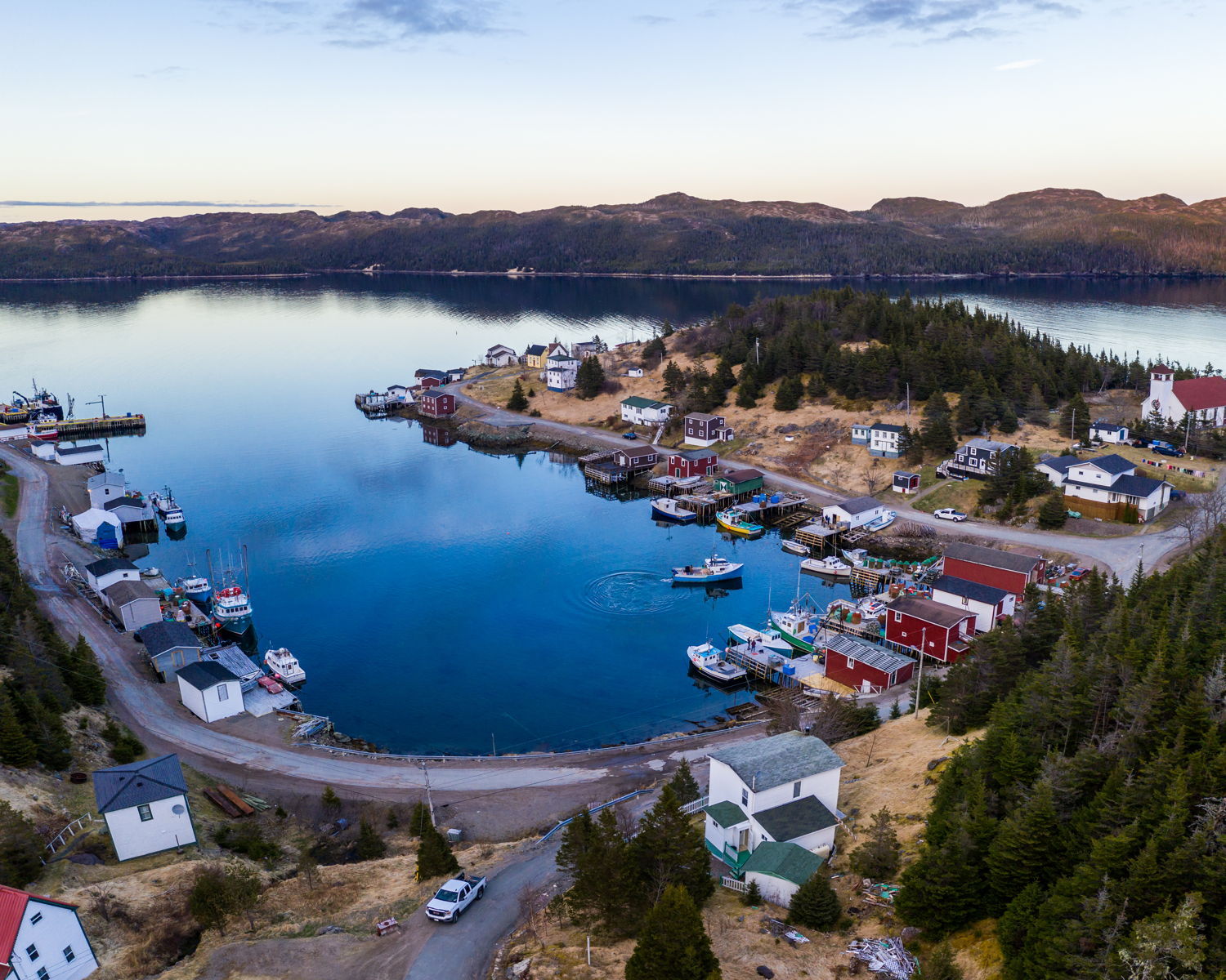 Petite Forte Sunset Tom Cochrane MARKET