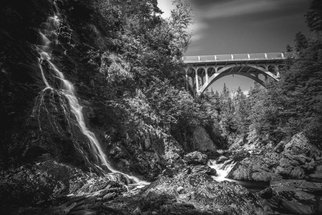 Colinet Black and White