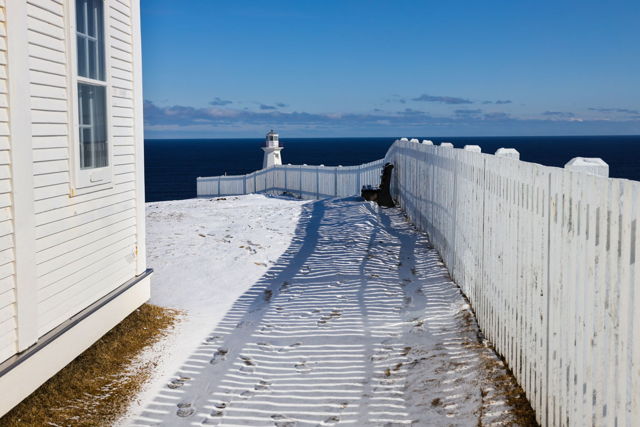 Winter At Cape Spear