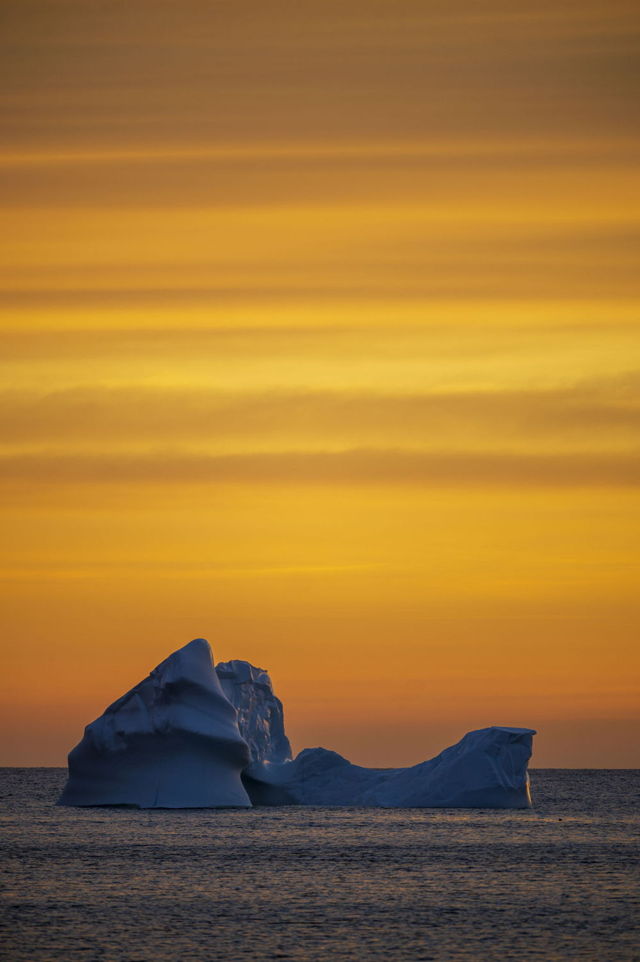 Frozen in Gold