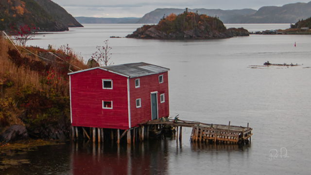 Along the shore