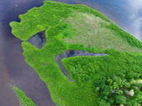 an island in the exploits