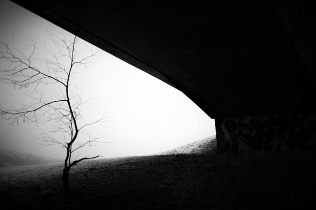 Under A Pedestrian Bridge