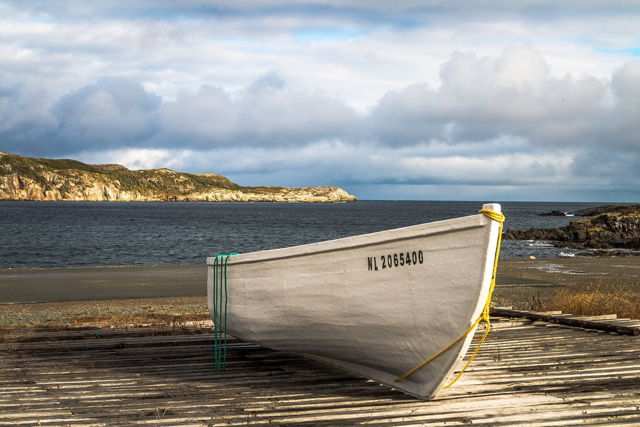 Standing Alone - Elliston