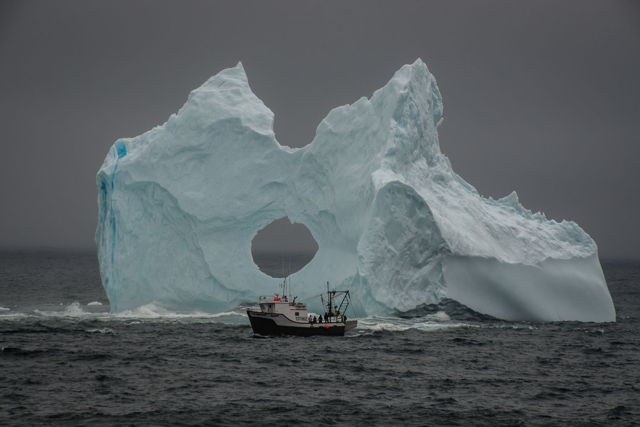 1 ba Renews - Cappahayden Iceberg