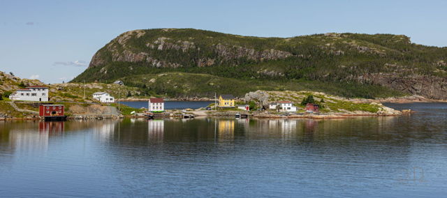 A Calm Day in Salvage, NL