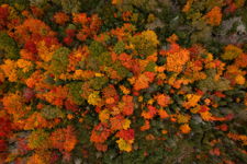 A season suspended in colours