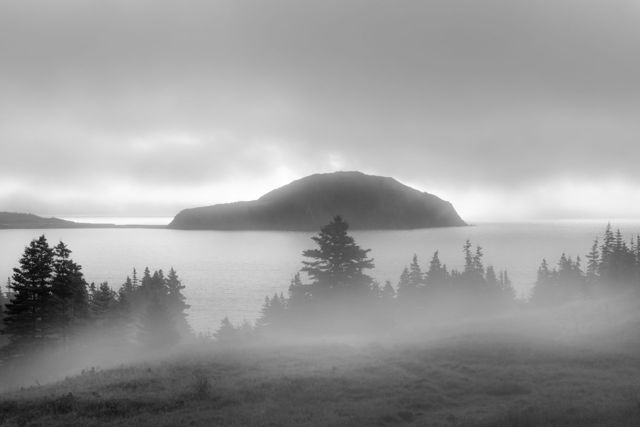 Misty Morning In Port Rexton, NL