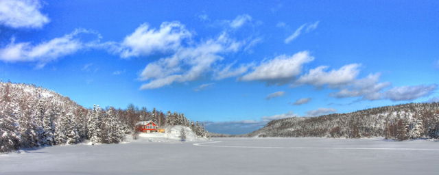 Winter Scene - NL