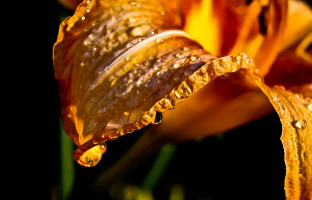 Fire and Water