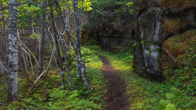 Ancient Trail