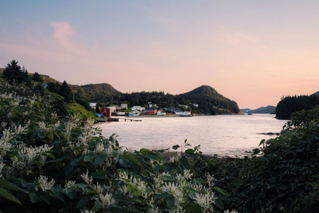 Port au Bras