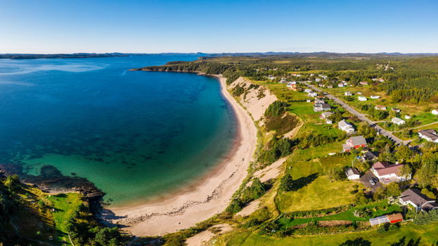 Sandy Days at Sandy Cove