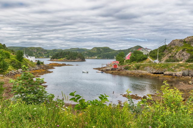 Betts Cove