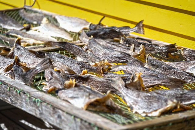 Fish Flake