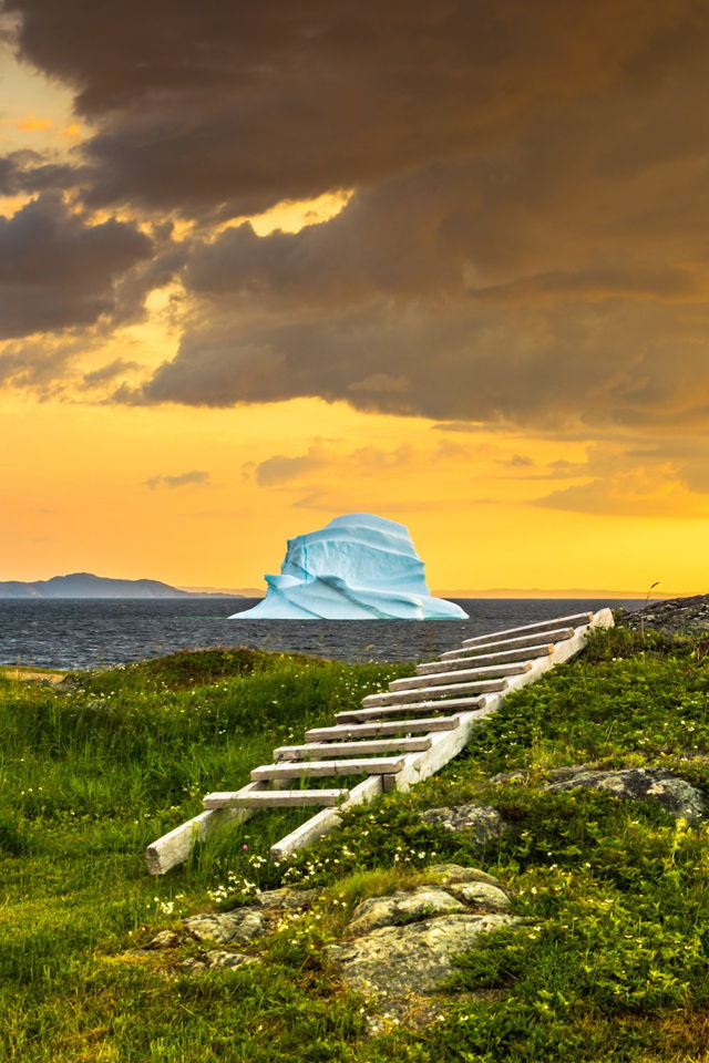 Backyard Berg