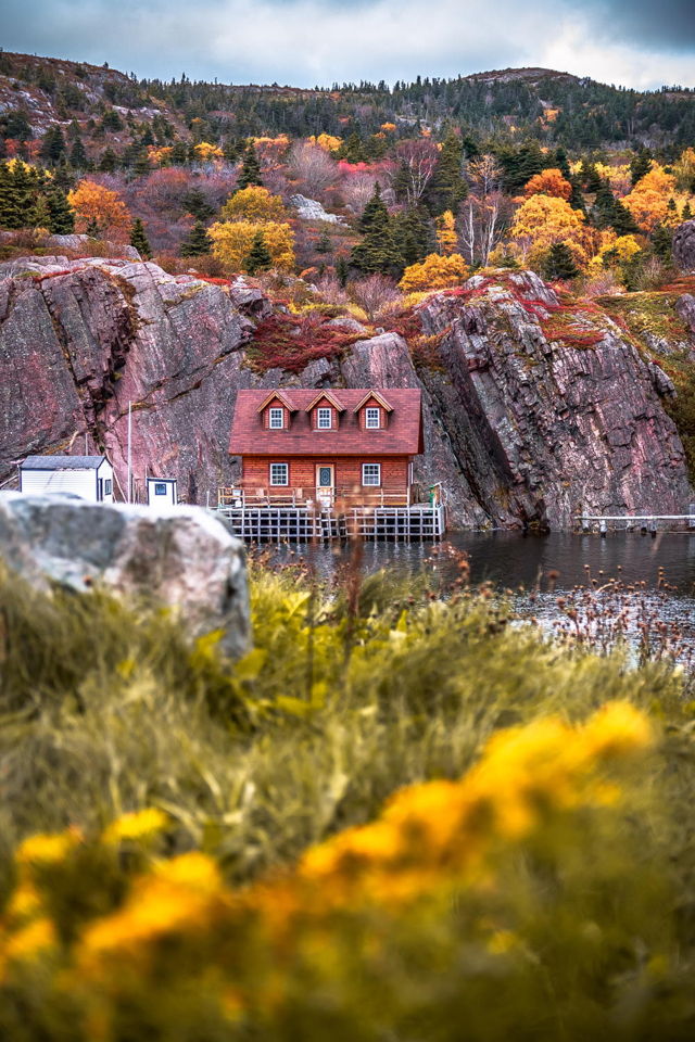Colours of Quidi Vidi