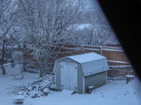 Winter Through the Window