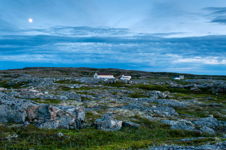 Summer's Evening, Fogo Island